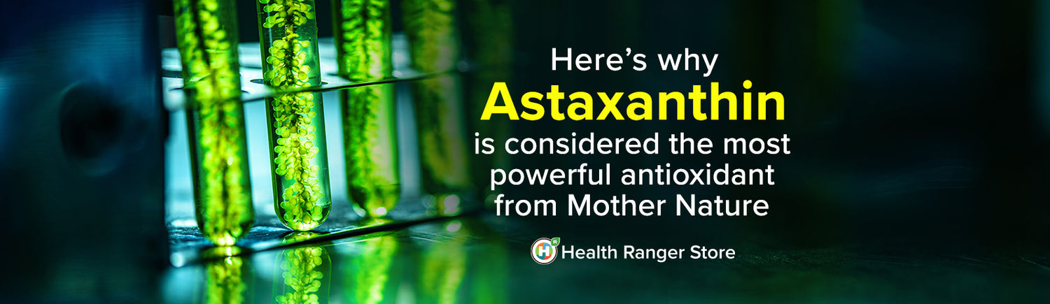 Here’s why Astaxanthin is considered the most powerful antioxidant from Mother Nature