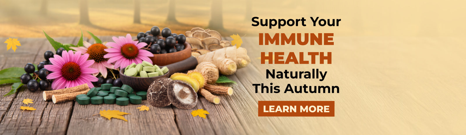 Natural ways to support a healthy immune system*