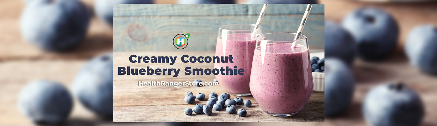 Creamy Coconut Blueberry Smoothie (Dairy-Free!)