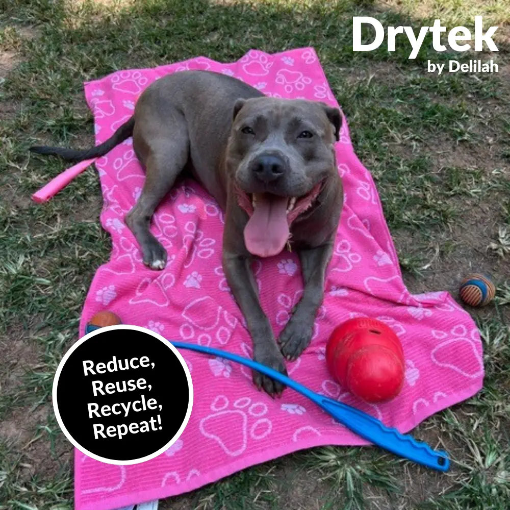 Drytek Dog Towel
