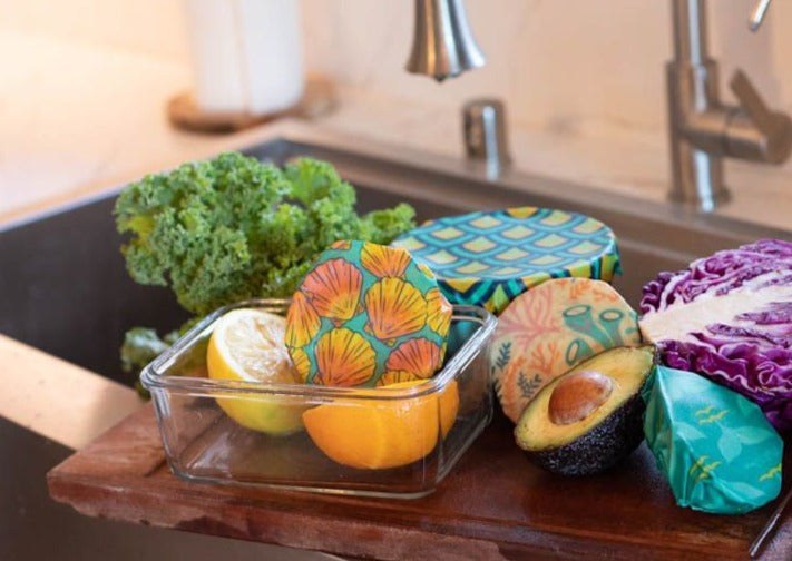 Beeswax Food Wrap - Sunrise Shell Print