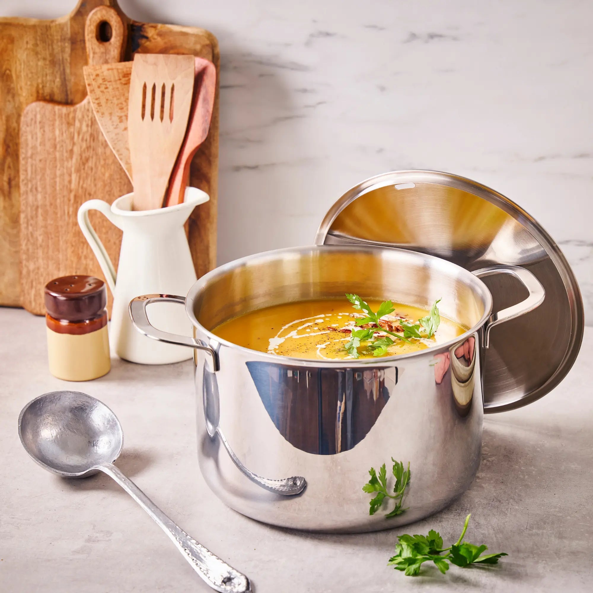 Maestro Stock Pot with Lid
