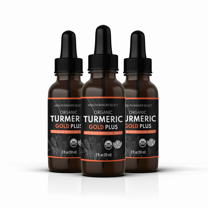 Organic Turmeric Gold Plus with Black Pepper and Ginger 2 fl. oz (59 ml) (3-Pack)