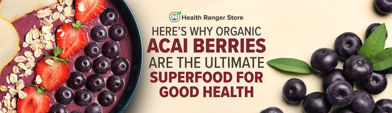 Why organic acai berries are the ultimate superfood for good health