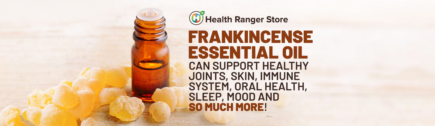 Everything you need to know about the healing benefits of Frankincense