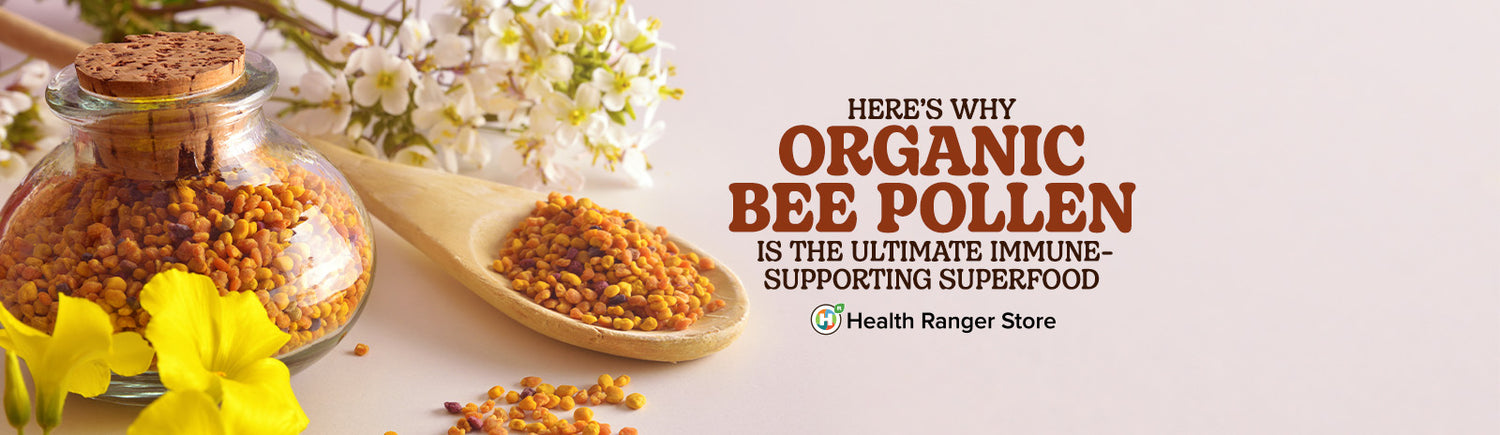 Here’s why Organic Bee Pollen is the ultimate immune-supporting superfood
