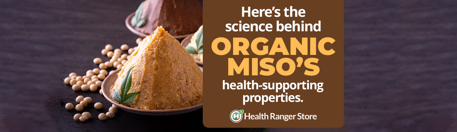 Discovering the Age-old Benefits of Fermentation: The History and Science Behind Organic Miso