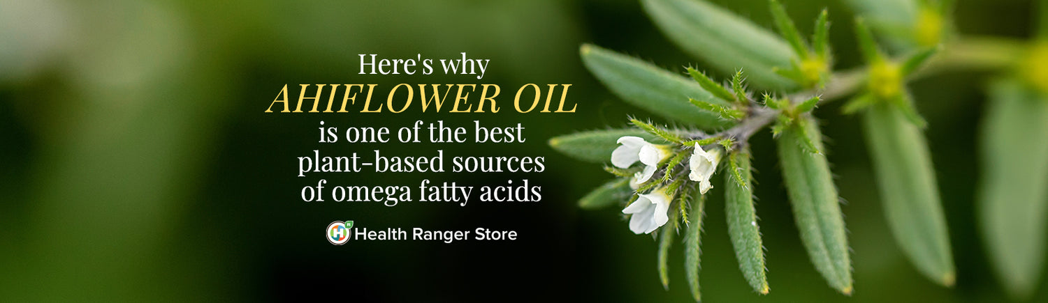 Here’s why Ahiflower is one of the best plant-based sources of omega fats ever discovered
