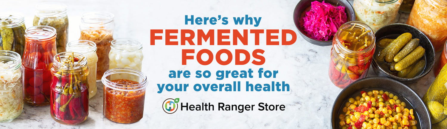 Here’s why Fermented Foods are so great for your health