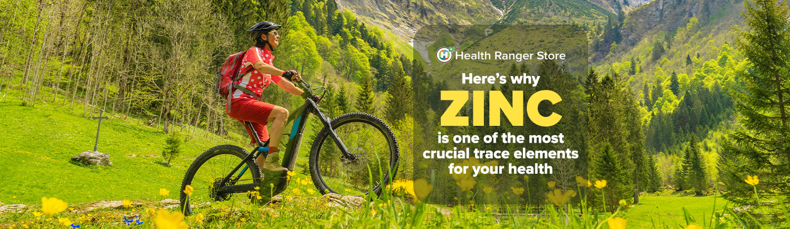 Here’s why Zinc is one of the most crucial trace elements for your health