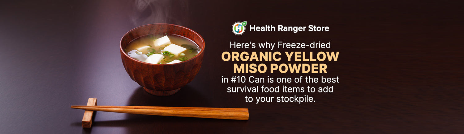 Here’s why Freeze-dried Organic Yellow Miso Powder in #10 Can is one of the best survival food items to add to your stockpile