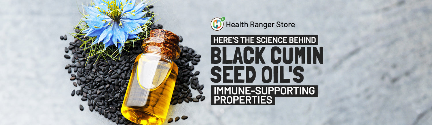 Here’s the science behind black cumin seed oil’s immune-supporting properties
