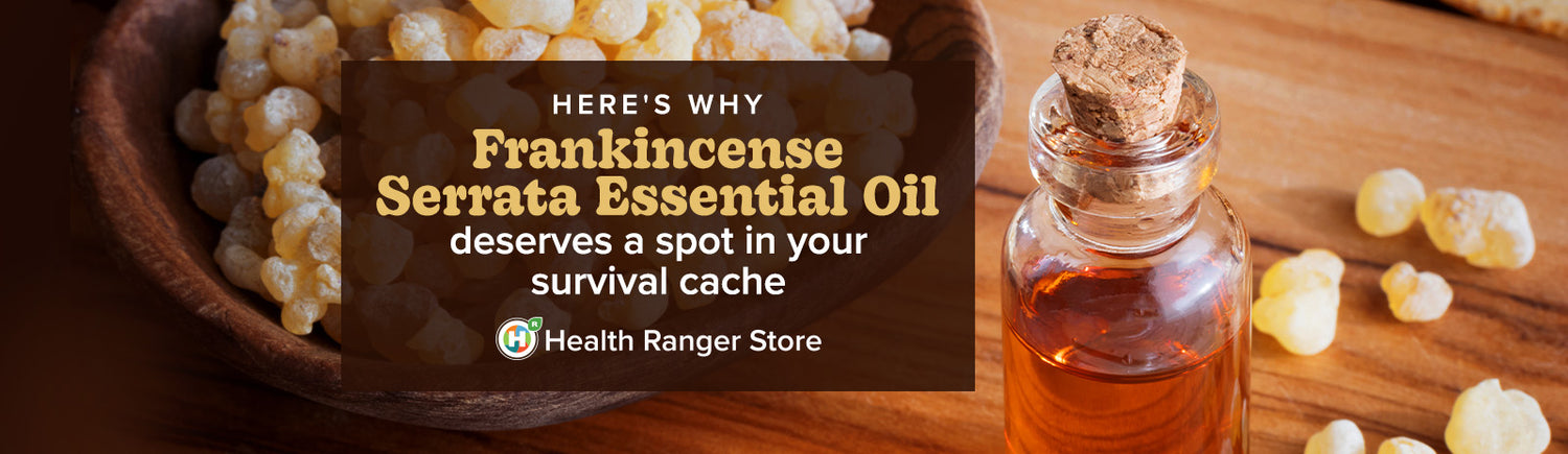 Here’s why Frankincense Serrata Essential Oil deserves a spot in your survival cache