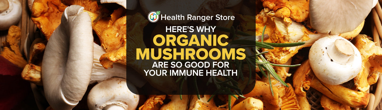 Here’s why Organic Mushrooms are good for your immune health