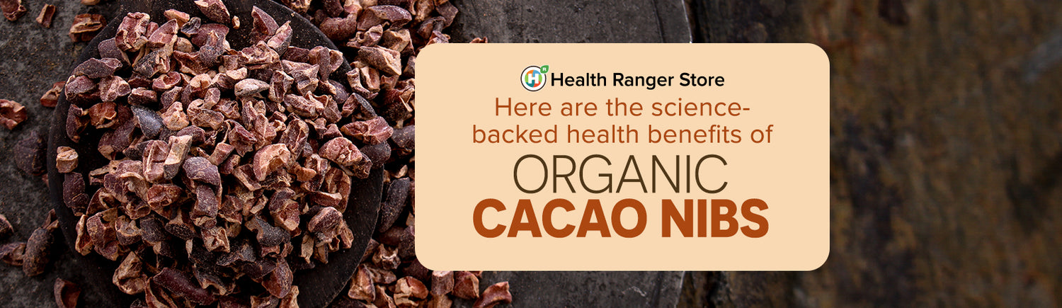 The science-backed health benefits of organic cacao nibs