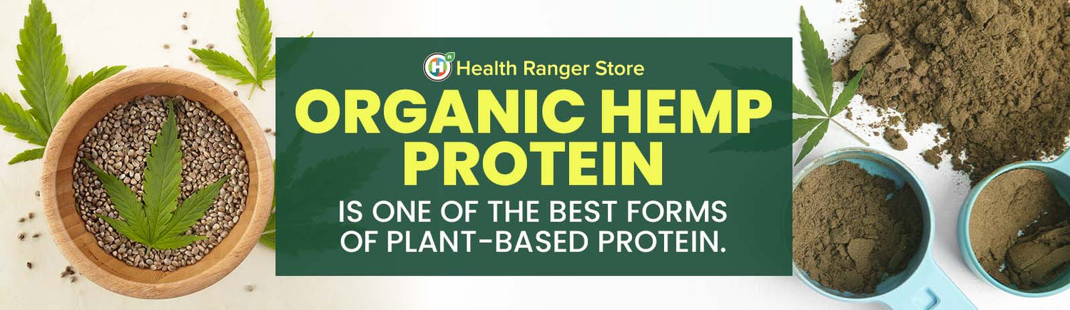 Why organic hemp protein is one of the best forms of plant-based protein