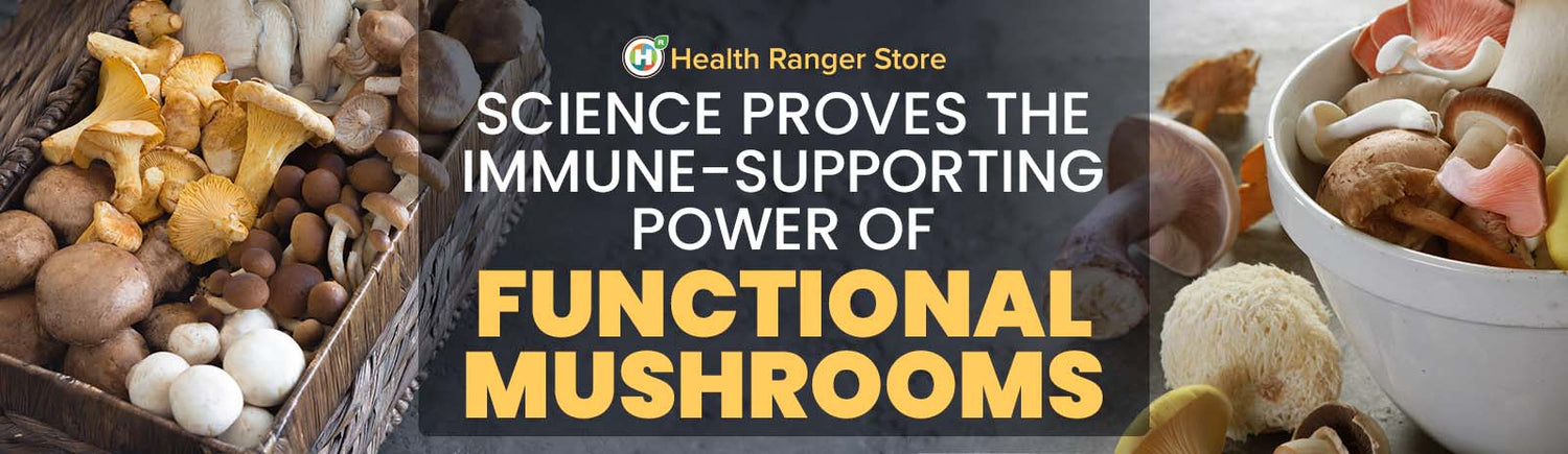 Here’s the science behind the immune-supporting power of functional mushrooms