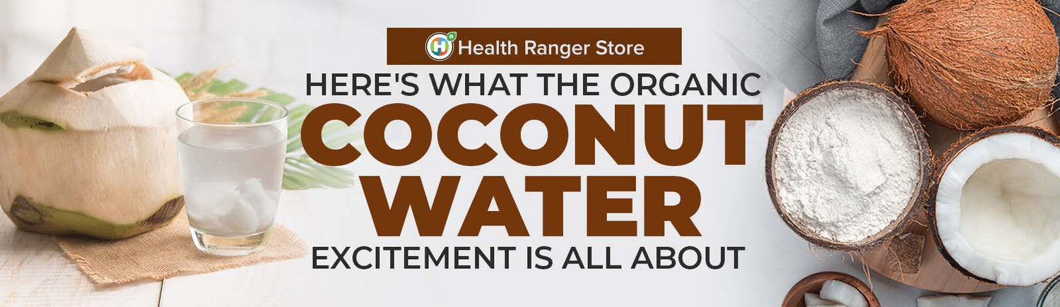 Here’s what the coconut water excitement is all about