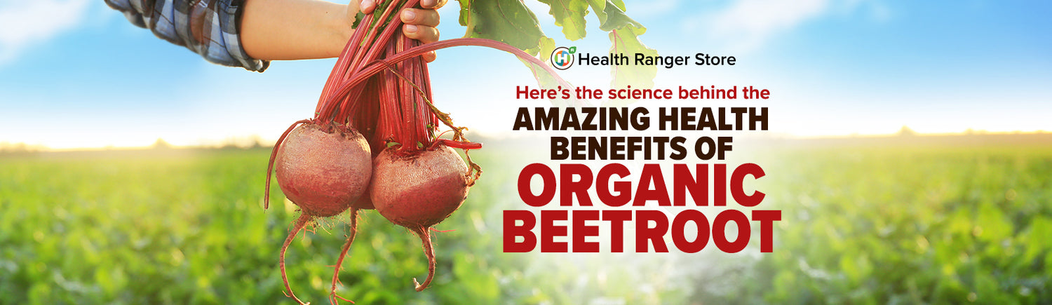 Here’s the science behind the amazing health benefits of organic beetroot