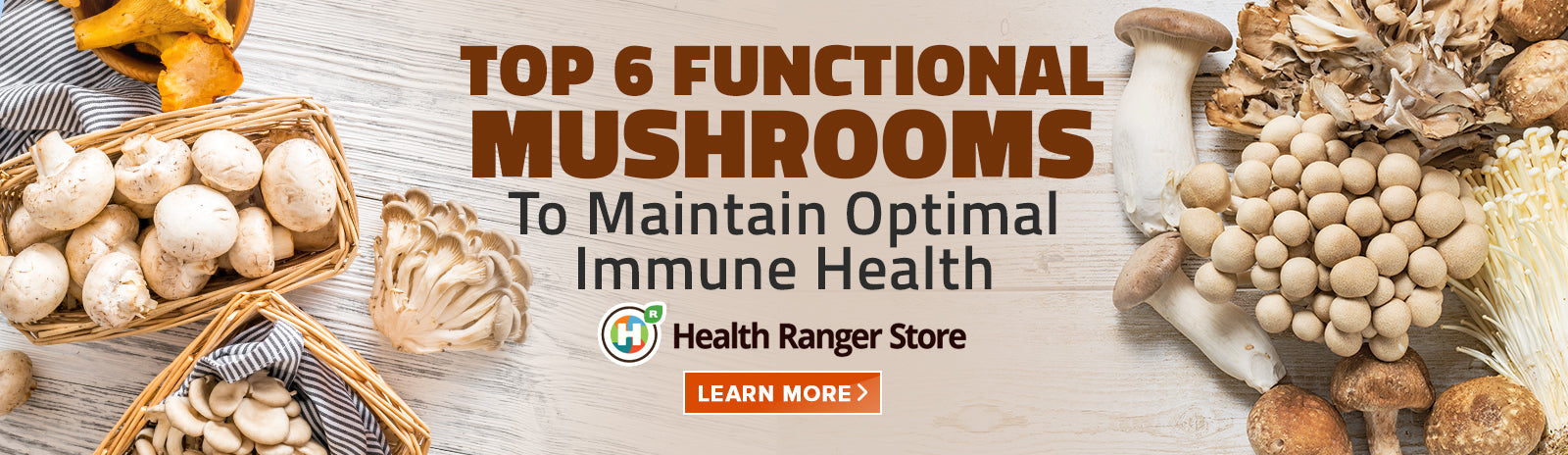 Here’s everything you need to know about functional mushrooms and their powerful immune supporting abilities