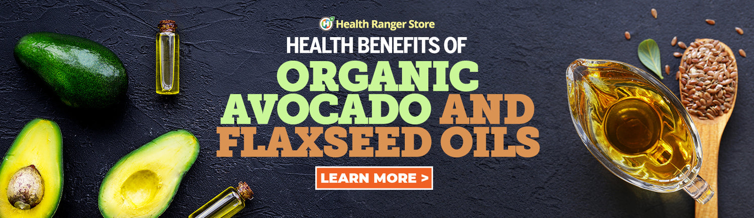 The Potent Benefits of Avocado and Flaxseed Oils