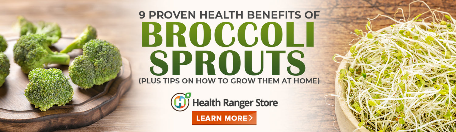 9 Health benefits of broccoli sprouts (plus tips on how to grow them at home)