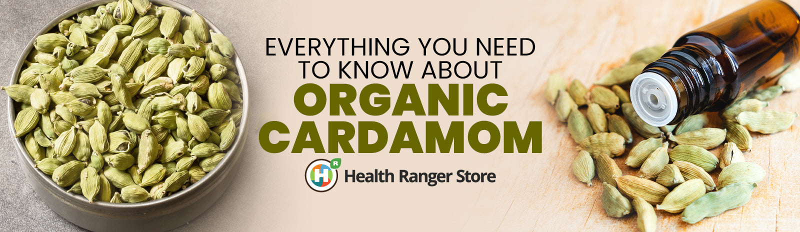 Everything you need to know about Organic Cardamom Essential Oil