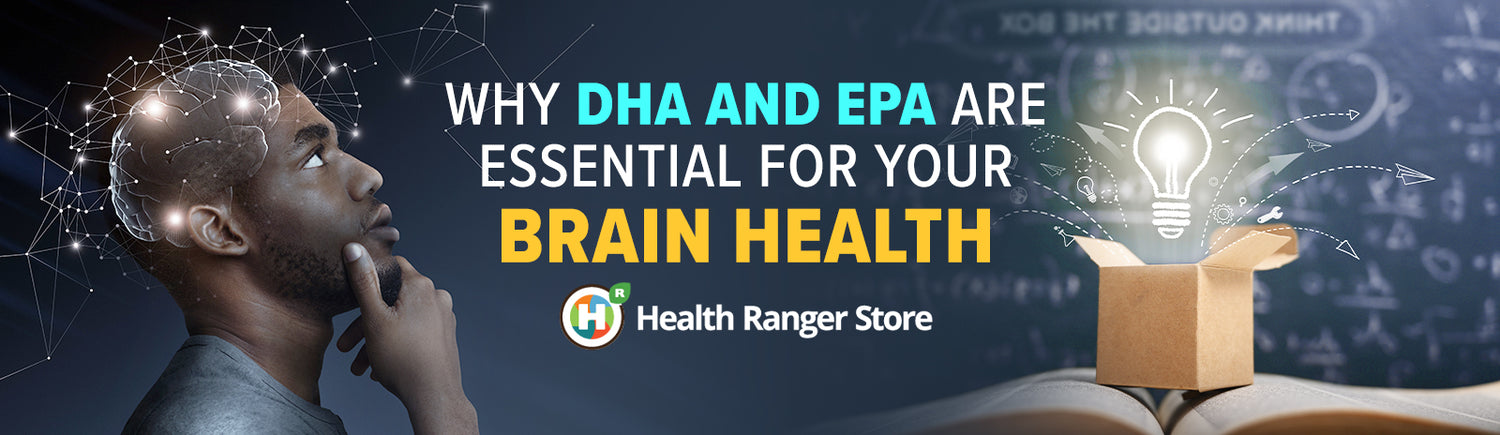 Why DHA-EPA are so essential for your brain health