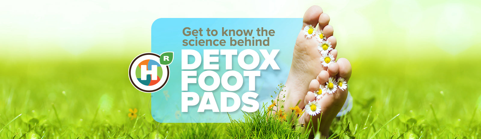 The science behind detox foot pads