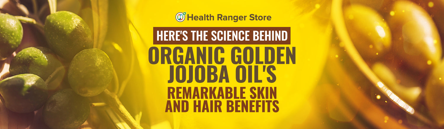 Here’s the science behind organic golden jojoba oil’s remarkable skin and hair benefits