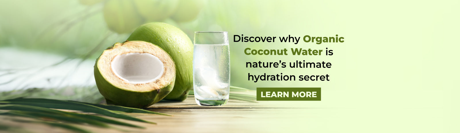 Why Organic Coconut Water is nature’s ultimate hydration secret