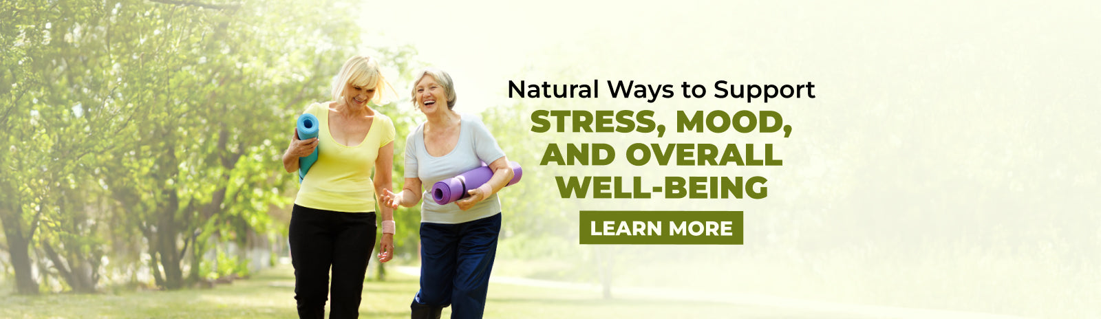 Understanding Stress and Mood Support in Everyday Wellness Routines*