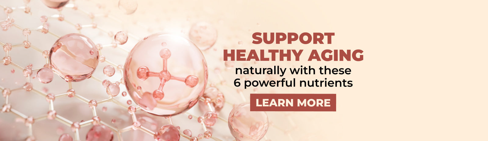 The Art of Aging Well: A Holistic Perspective on Longevity*