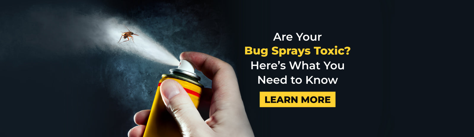 Are Your Bug Sprays Toxic? Here’s What You Need to Know