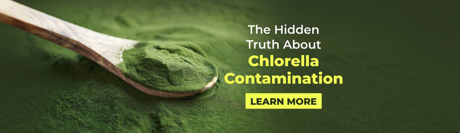 The Truth About Chlorella Contamination and How to Choose a Safe Source*