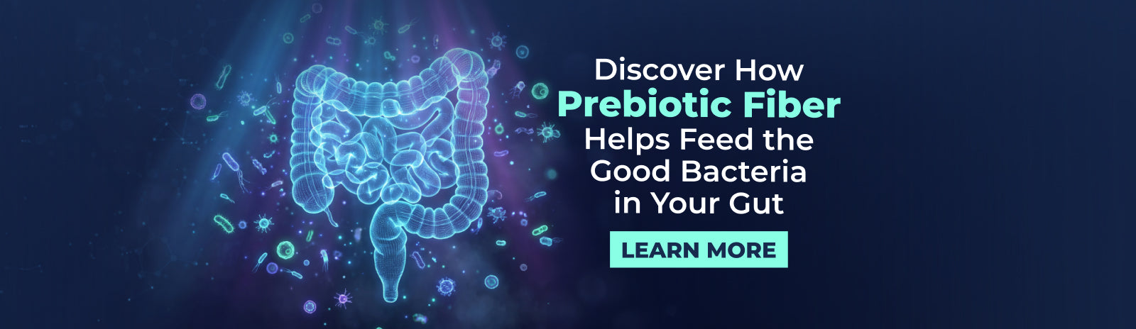 How Prebiotic Fiber Helps Feed the Good Bacteria in Your Gut