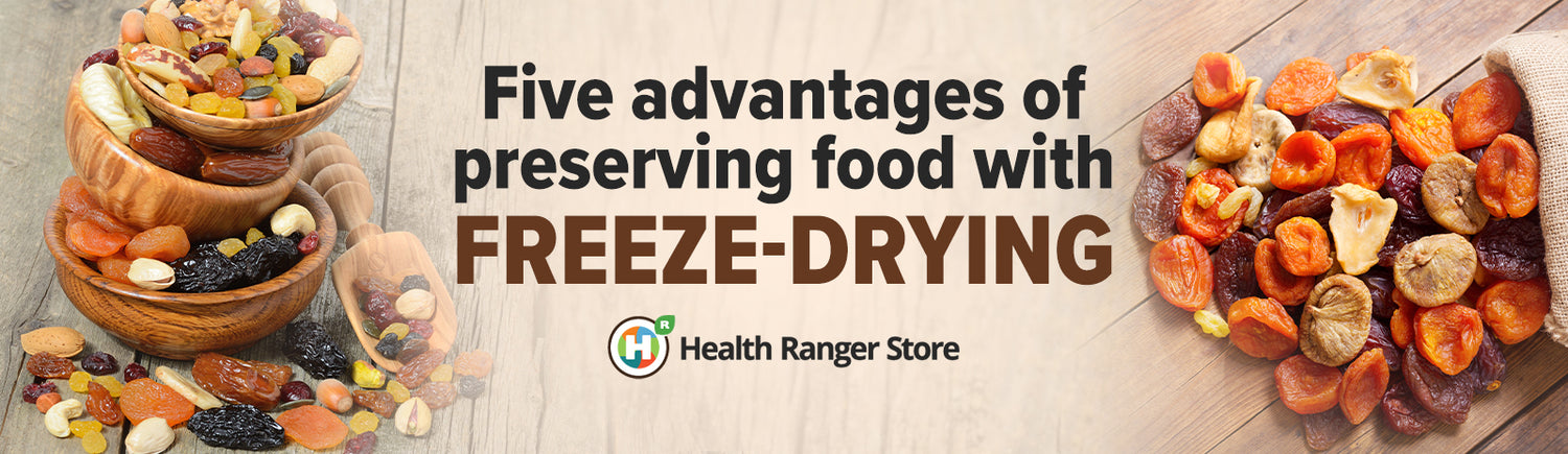 Why freeze-drying is the best food preservation method