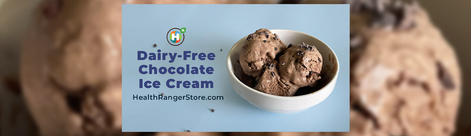 Dairy-Free Chocolate Ice Cream