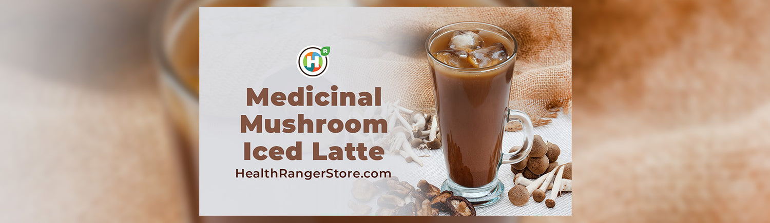 Medicinal Mushroom Iced Latte