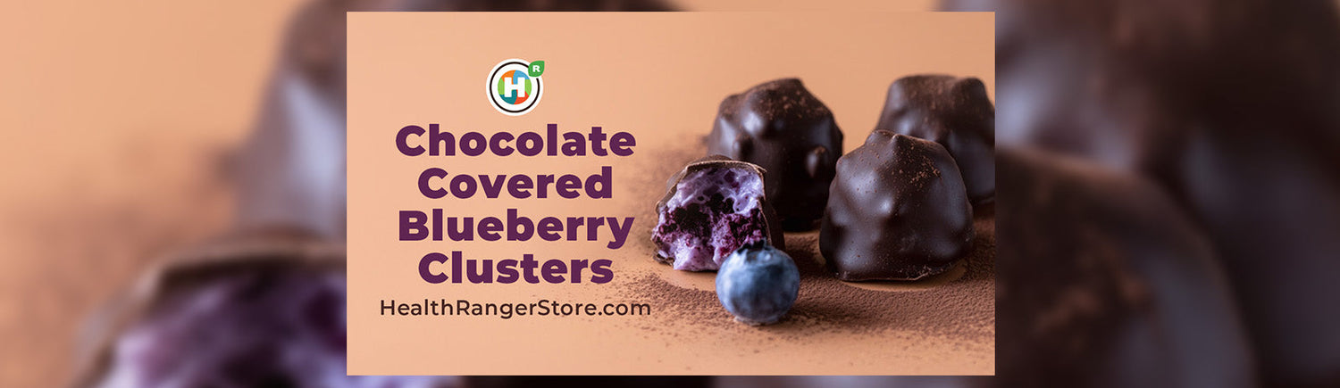 Chocolate Covered Blueberry Clusters