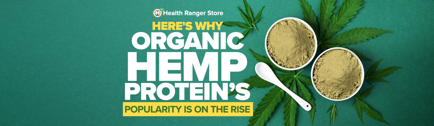 Why organic hemp protein’s popularity is on the rise