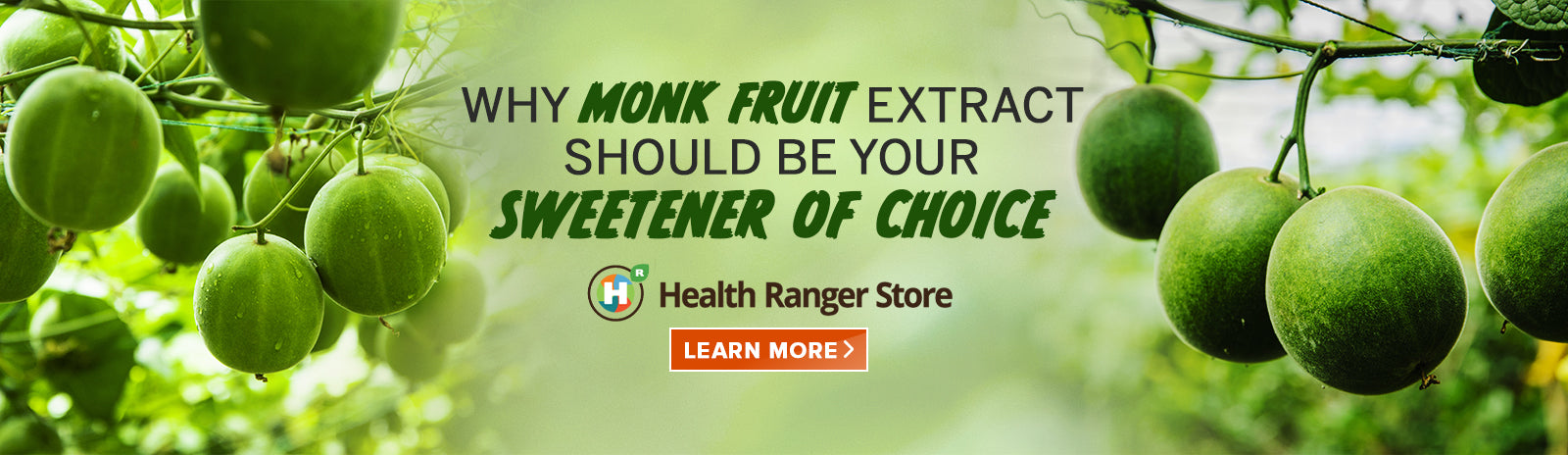 Have you heard of Monk Fruit, the Low-Carb Healthy Sugar Substitute?