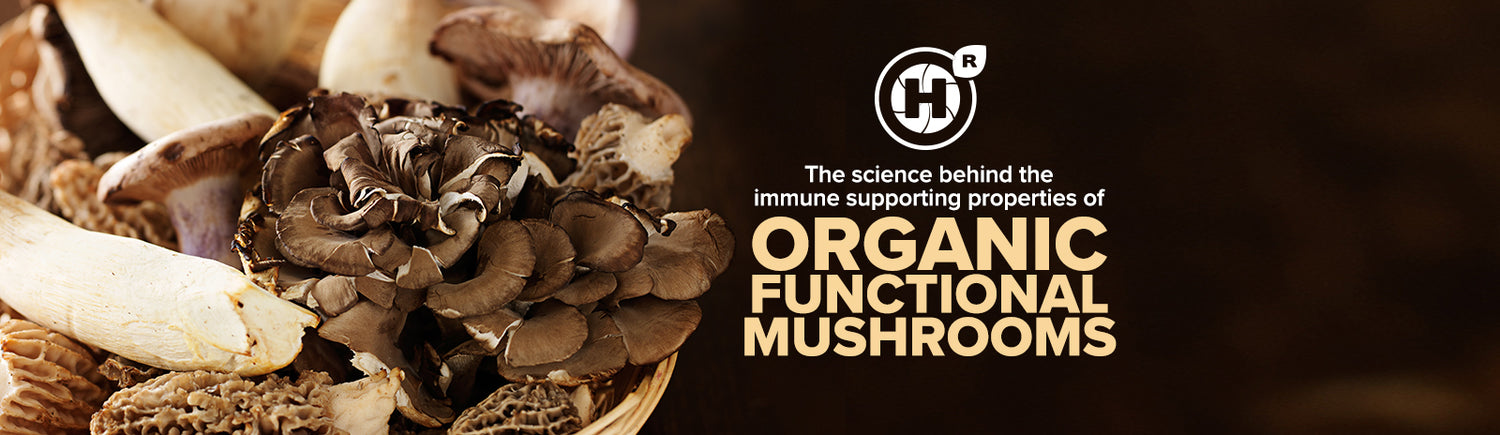 The science behind the powerful immune-supporting properties of organic functional mushrooms