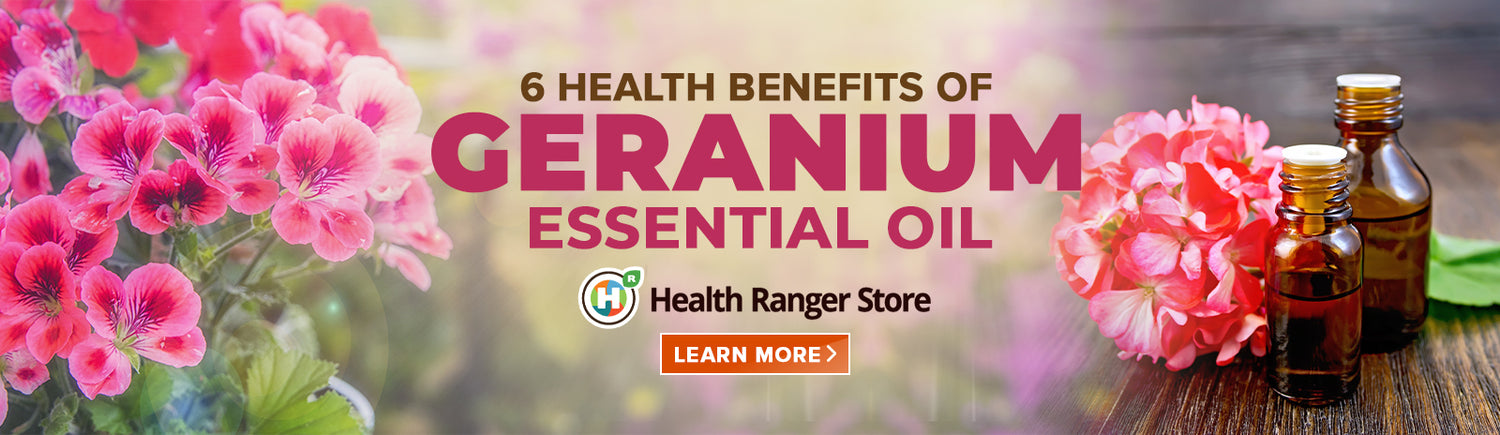 All you need to know about the benefits of organic geranium essential oil