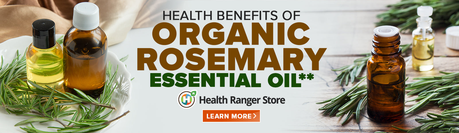 Everything you need to know about Organic Rosemary Essential Oil