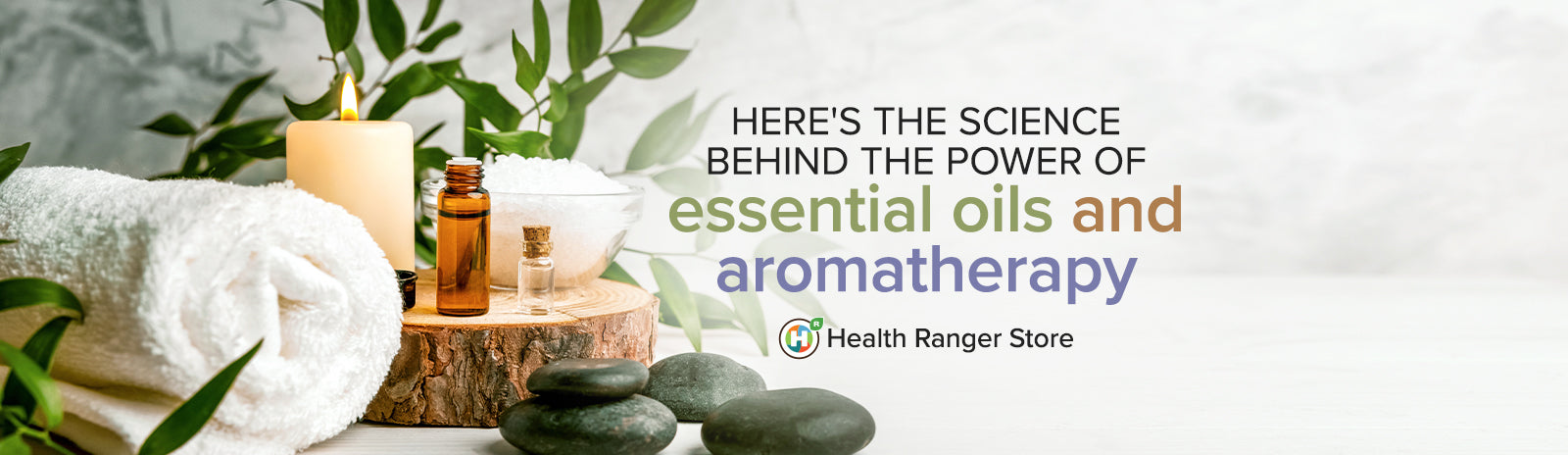 Here’s the science behind the power of essential oils and aromatherapy