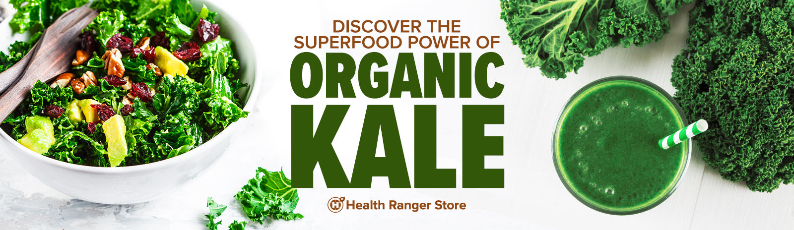 Discover the superfood power of organic kale