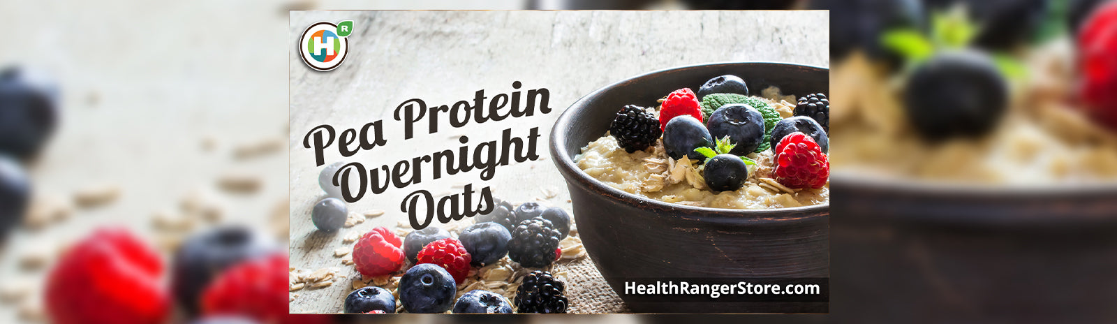 Pea Protein Overnight Oats – Health Ranger Store
