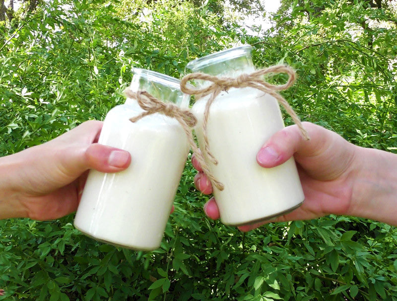Organic Raw Cashew Milk