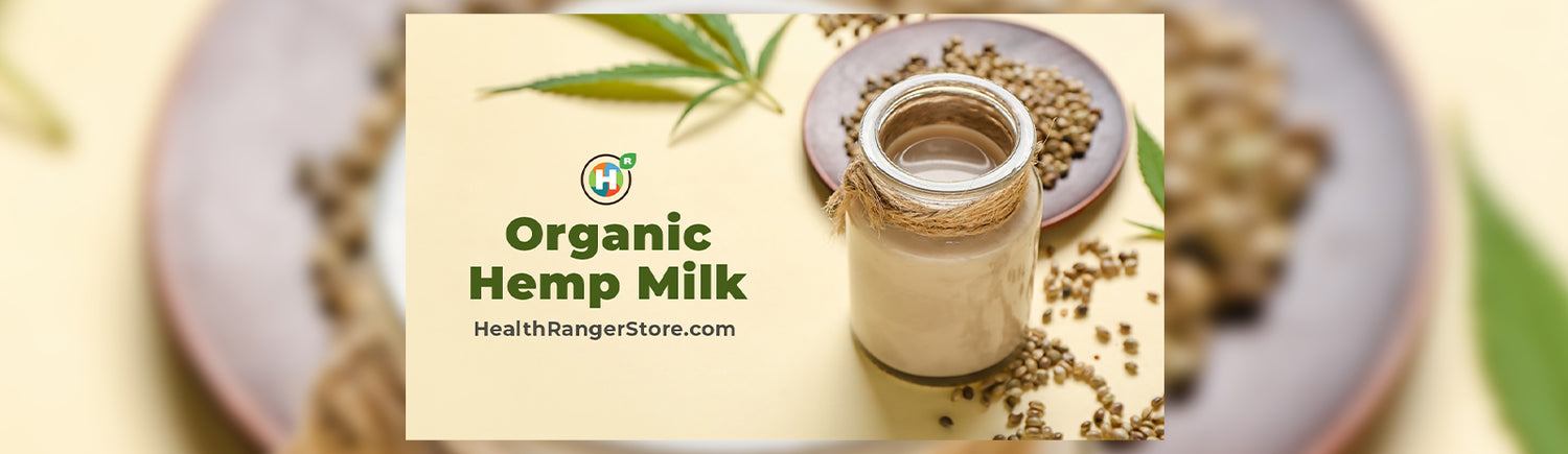 How to Make Organic Hemp Milk (dairy-free & gluten-free!)